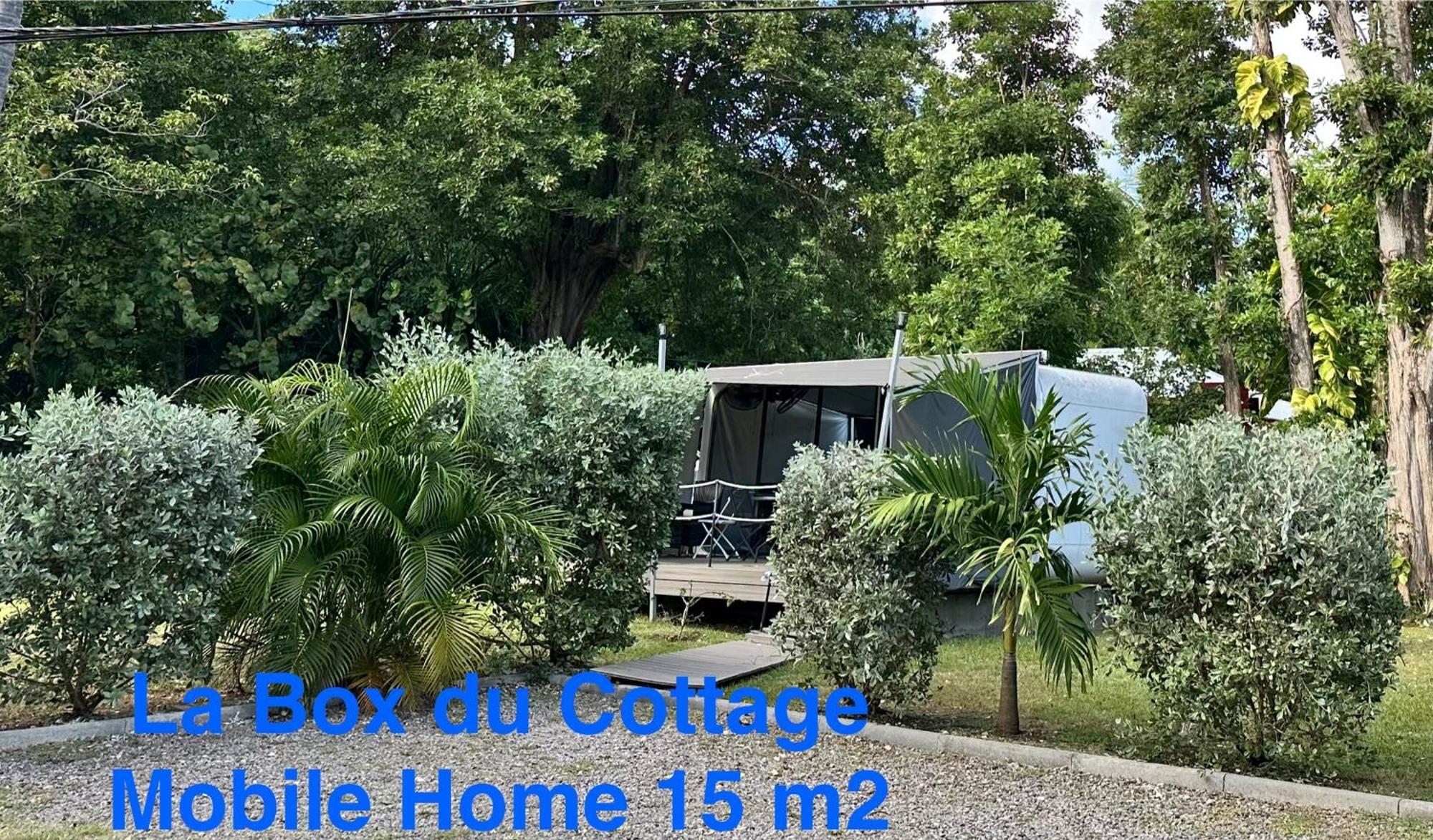 Le Cottage De Castaing Sur Plage Privee Sainte-Anne  Exterior foto